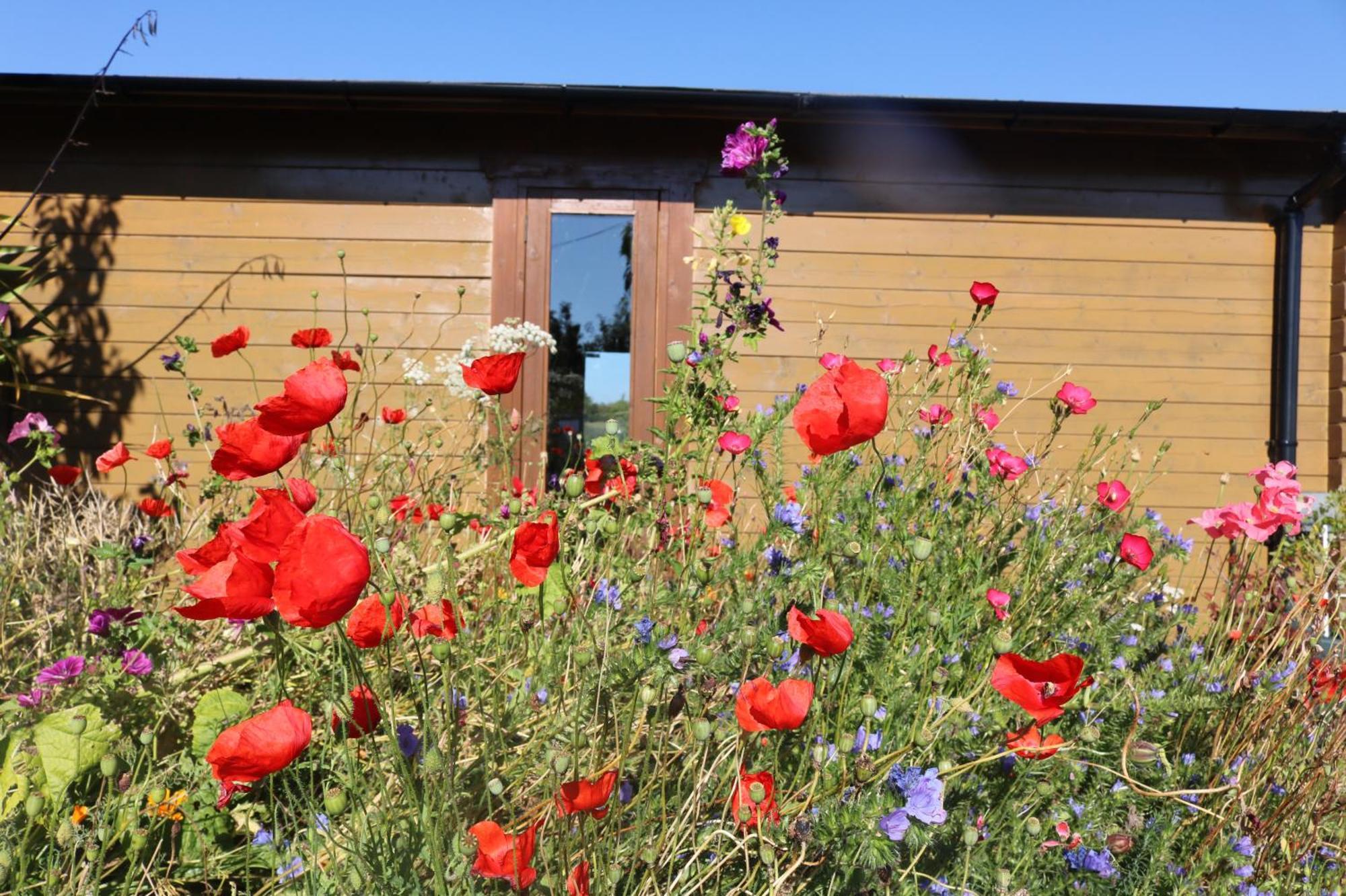 The Cabin Pipershill Newtownbutler Экстерьер фото